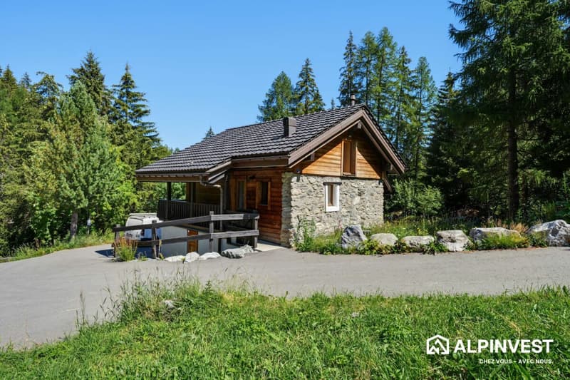 Chalet 4.5 pièces dans PPE - Excellent potentiel locatif (12)