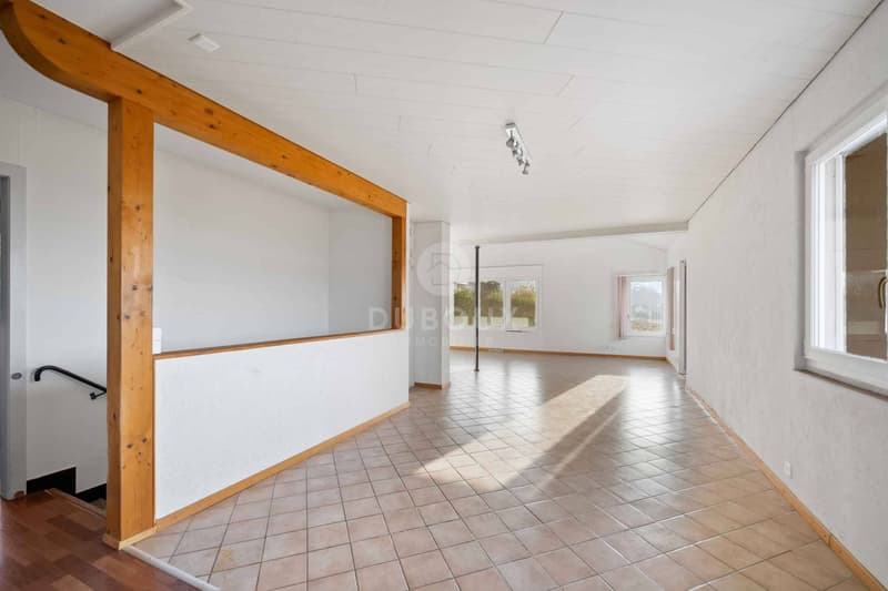 YVERDON-LES-BAINS - MAGNIFIQUE VILLA PROCHE DU CENTRE VILLE (4)