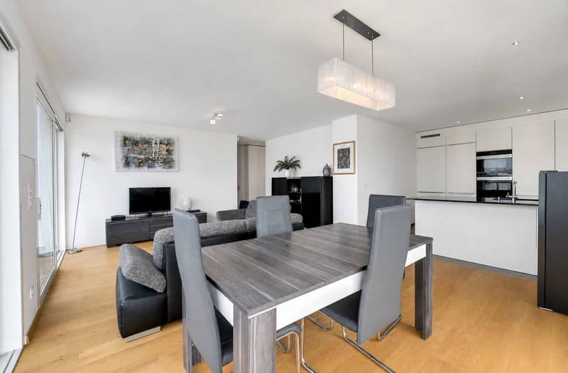 Appartement en attique avec vue panoramique (6)