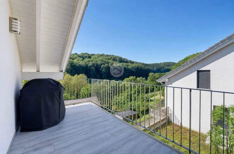 DUPLEX LUMINEUX DANS UN CADRE VERDOYANT (12)