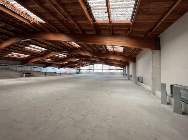 Spacieuse halle industrielle divisible en mezzanine (4)
