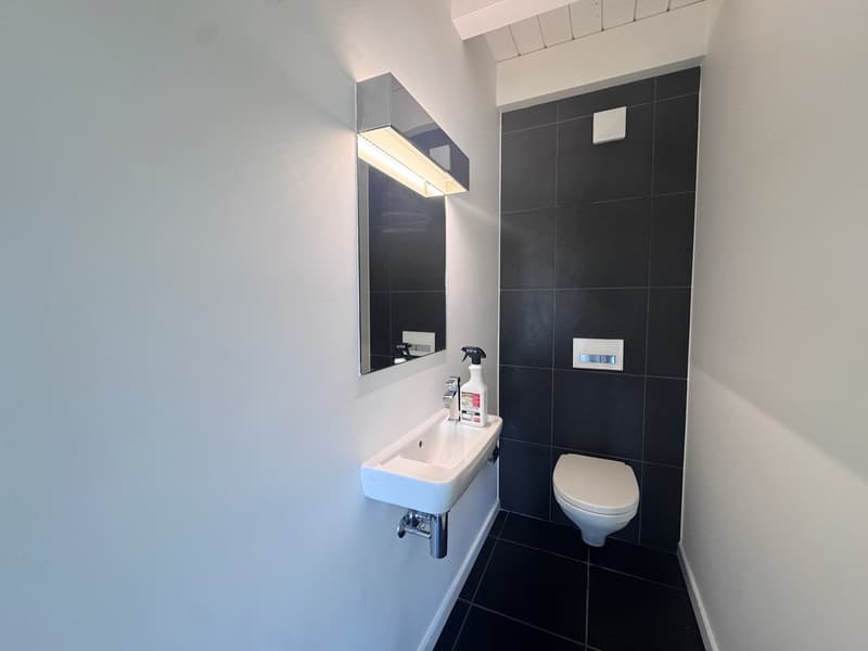 Spacieux appartement de 5.5 pièces en duplex (6)