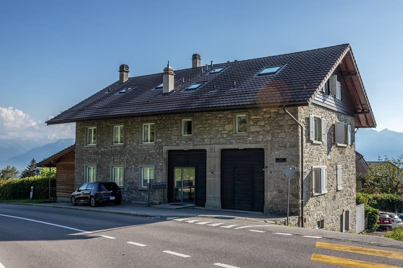 Spacieux appartement de 5.5 pièces en duplex (8)