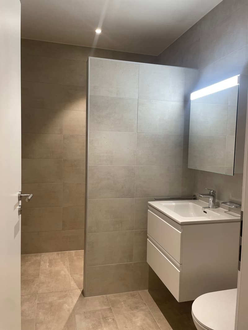 Superbe Appartement 4.5 pièces dans le Quartier Arbora, Crissier (5)