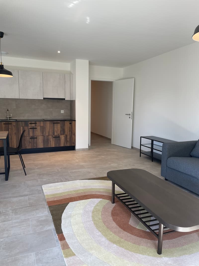 Superbe Appartement 4.5 pièces dans le Quartier Arbora, Crissier (3)