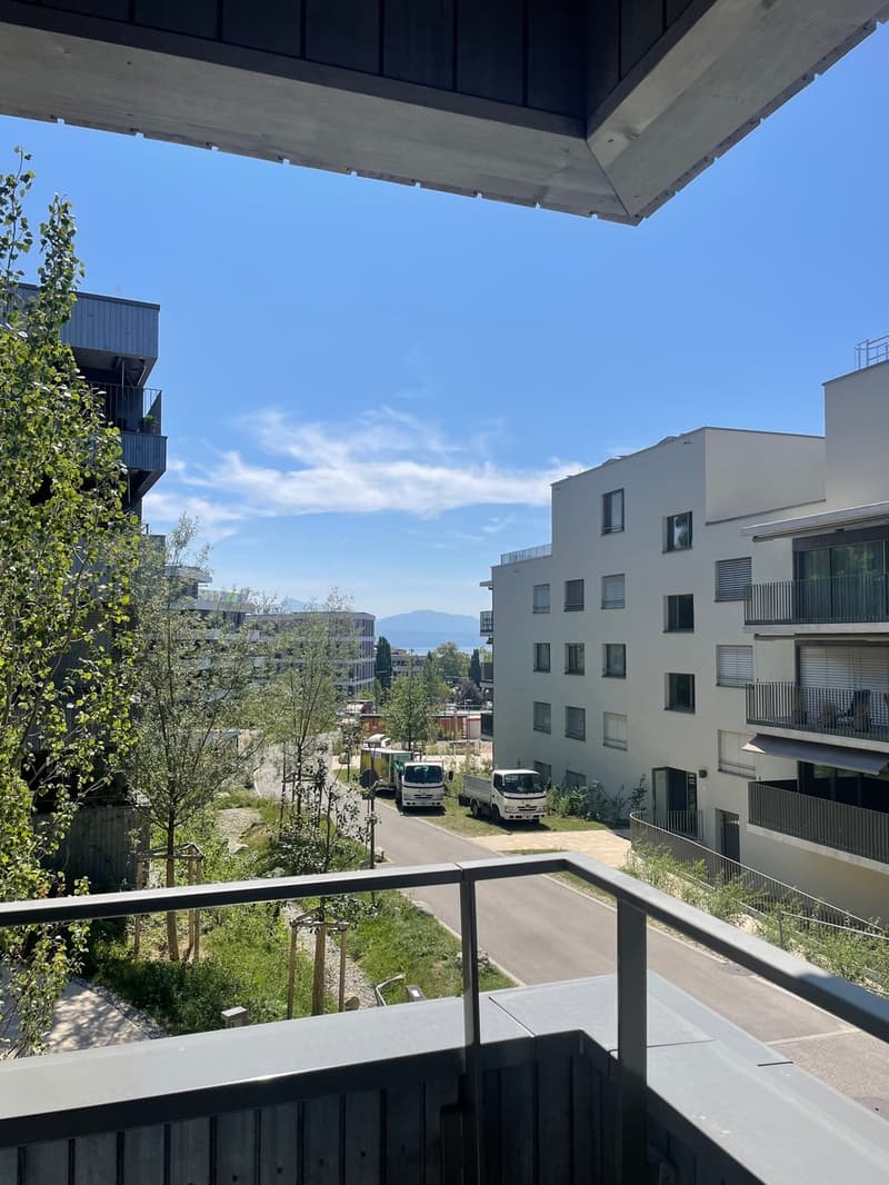 Superbe Appartement 4.5 pièces dans le Quartier Arbora, Crissier (4)