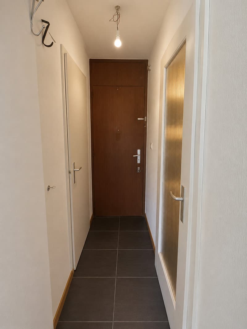 1 pièce au rez supérieur à Renens (5)