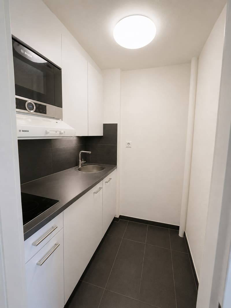 1 pièce au rez supérieur à Renens (3)