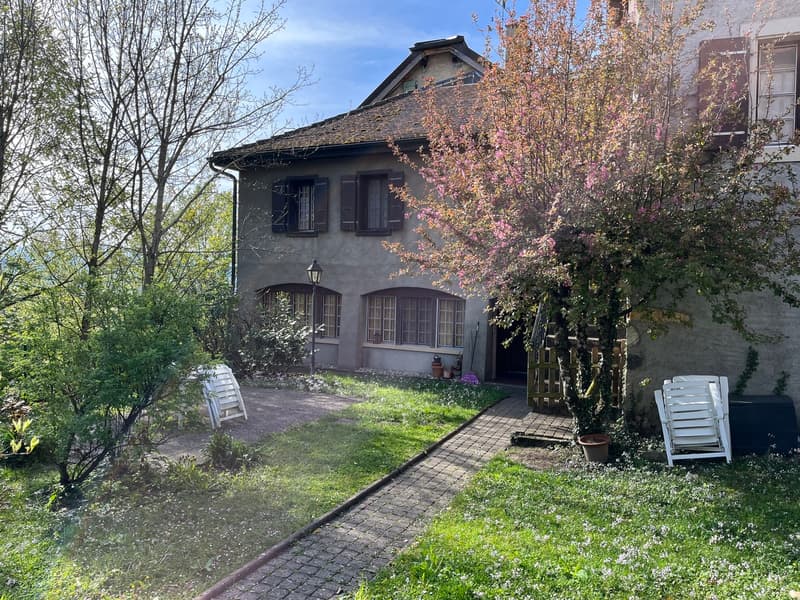 Appartement de 3 pièces au Chemin du Prieuré 10, 1304 Cossonay (5)
