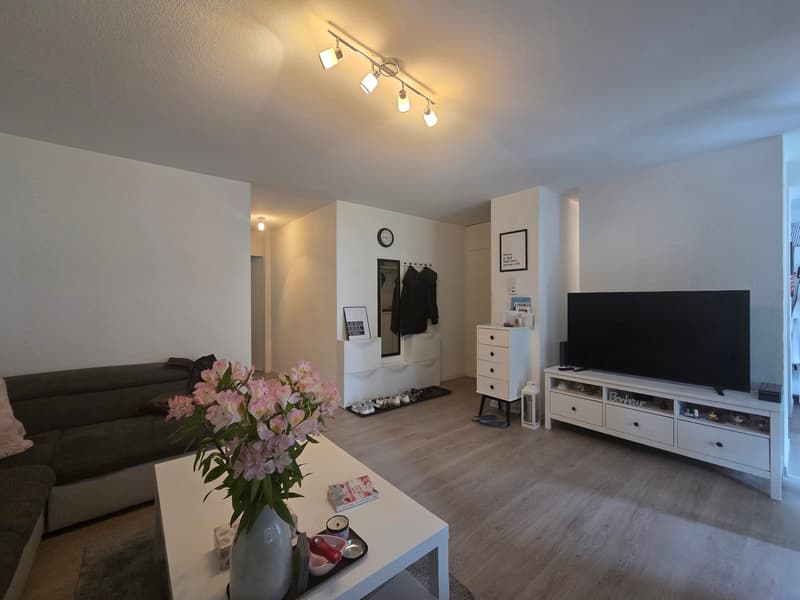 Joli appartement de 2.5 pièces avec terrasse (1)