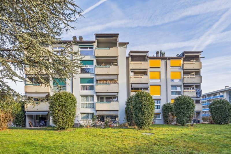 Joli appartement de 2.5 pièces avec terrasse (3)