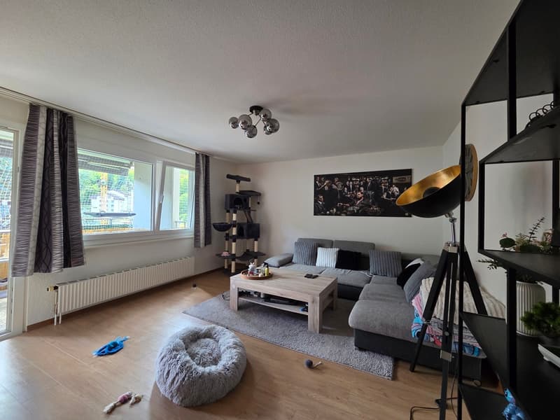 Joli appartement de 3.5 pièces avec balcon (3)