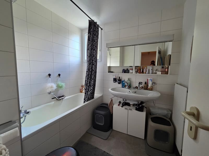 Joli appartement de 3.5 pièces avec balcon (6)