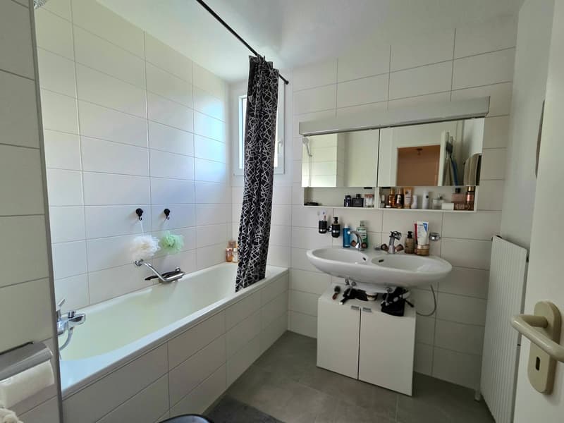 Joli appartement de 3.5 pièces avec balcon (6)