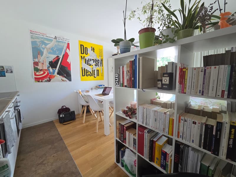 Bel appartement moderne de 1.5 pièce (5)