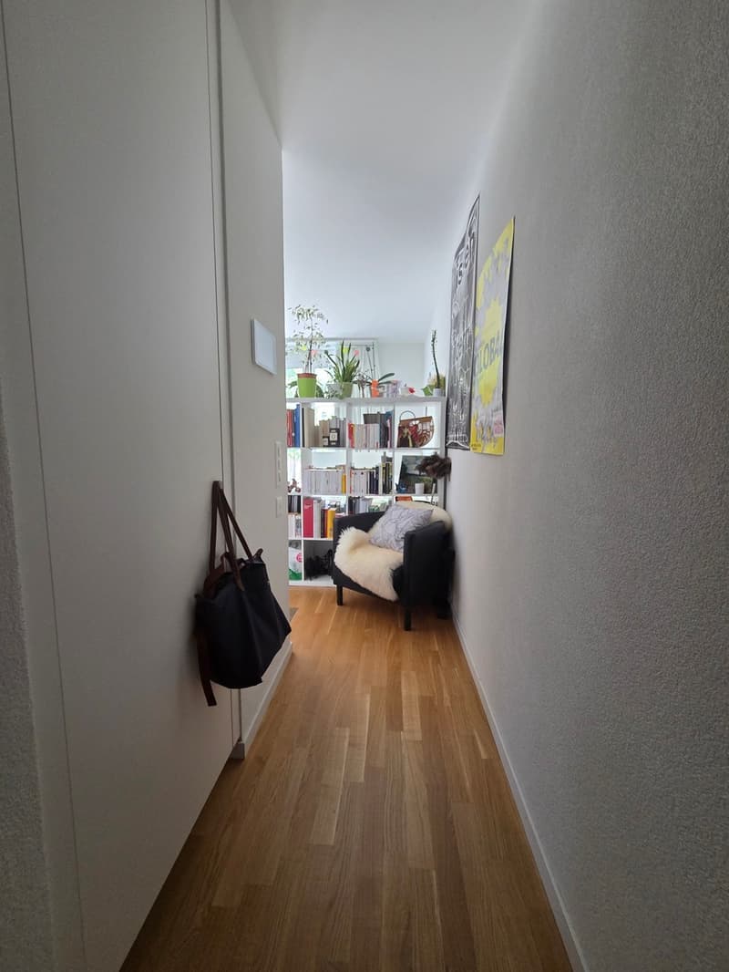 Bel appartement moderne de 1.5 pièce (6)