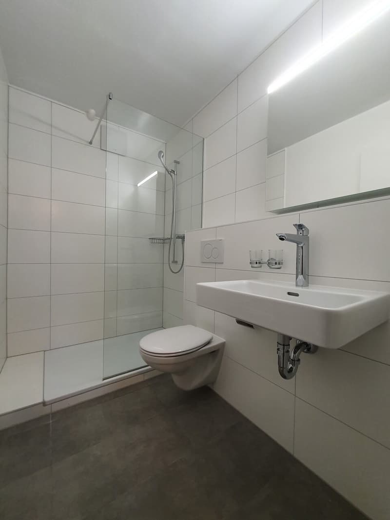 Bel appartement rénové au Chemin du Miroir 2, 1090 La Croix-sur-Lutry (8)