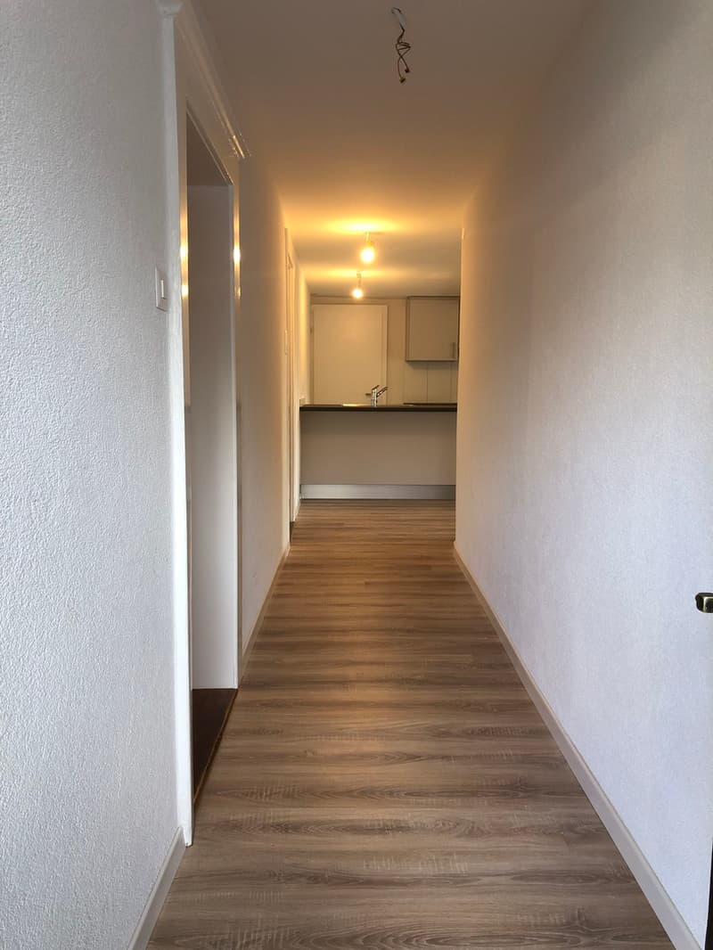 Bel appartement rénové au Chemin du Miroir 2, 1090 La Croix-sur-Lutry (5)
