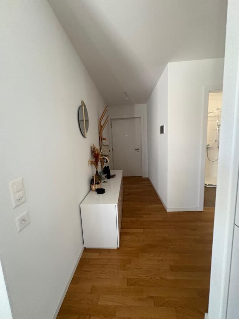 Superbe appartement moderne de 2.5 pièces avec terrasse (6)