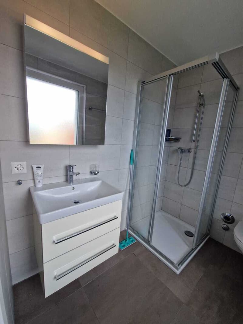 Bel appartement au Chemin des Diablerets 2, 1012 Lausanne (4)