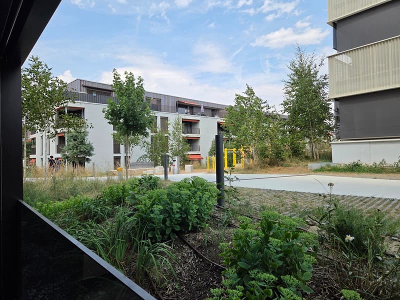 Bel appartement de 1.5 pièces à Echallens - disponible au 15.08.2025 (9)
