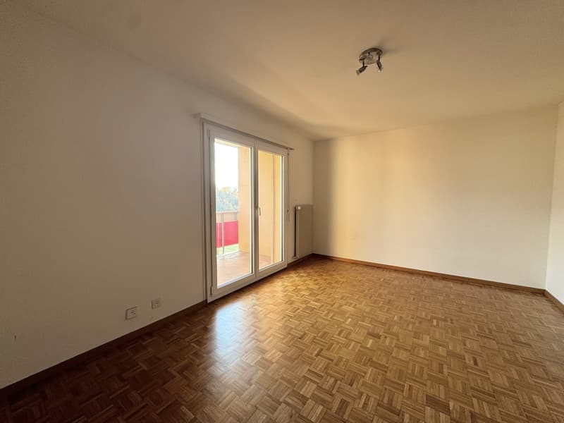 CDD jusqu'au 31.01.2027 - Appartement de 1 pièce avec balcon (2)