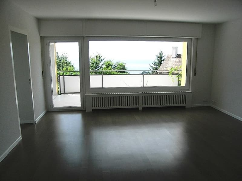 Bel appartement rénové au Chemin du Miroir 2, 1090 La Croix-sur-Lutry (3)