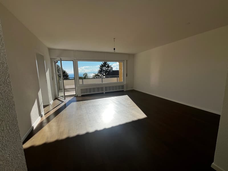 Bel appartement rénové au Chemin du Miroir 2, 1090 La Croix-sur-Lutry (7)