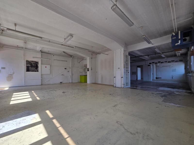 230 m² de plain-pied avec quai de chargement: bail jusqu'au 31.12.2029 (3)