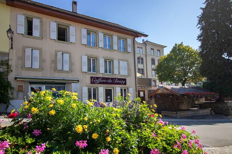 Appartement de 2.5 pièces entièrement rénové (2)