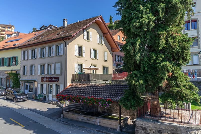 Appartement de 4.5 pièces entièrement rénové (2)