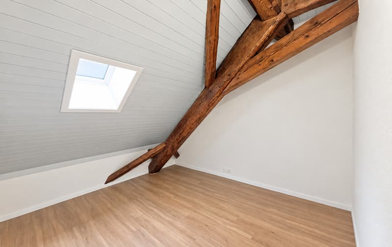 Appartement de 4.5 pièces entièrement rénové (4)