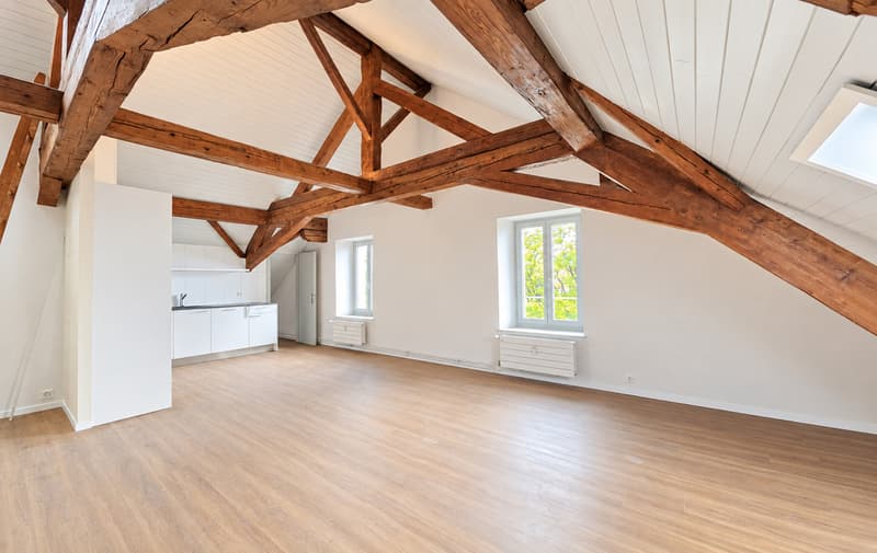 Appartement de 4.5 pièces entièrement rénové (2)