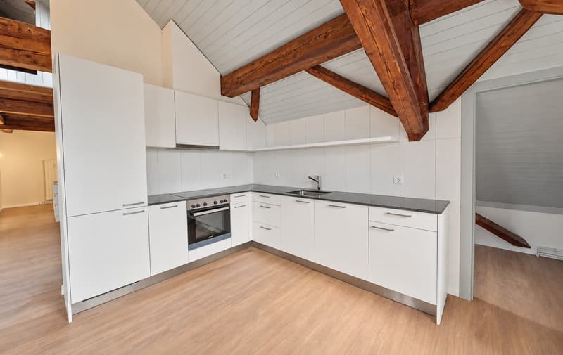 Appartement de 4.5 pièces entièrement rénové (3)
