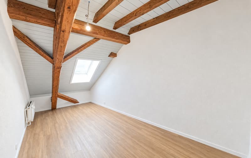 Appartement de 4.5 pièces entièrement rénové (6)