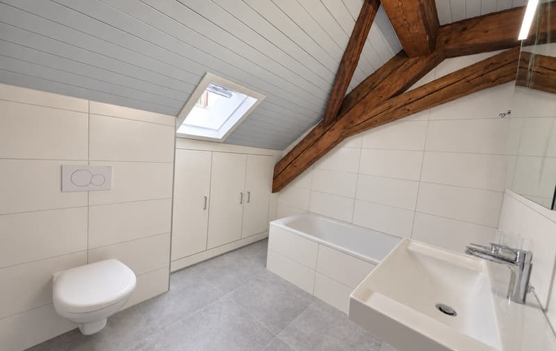 Appartement de 4.5 pièces entièrement rénové (7)