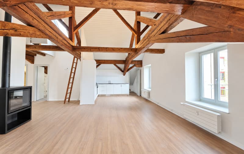 Appartement de 4.5 pièces entièrement rénové (1)
