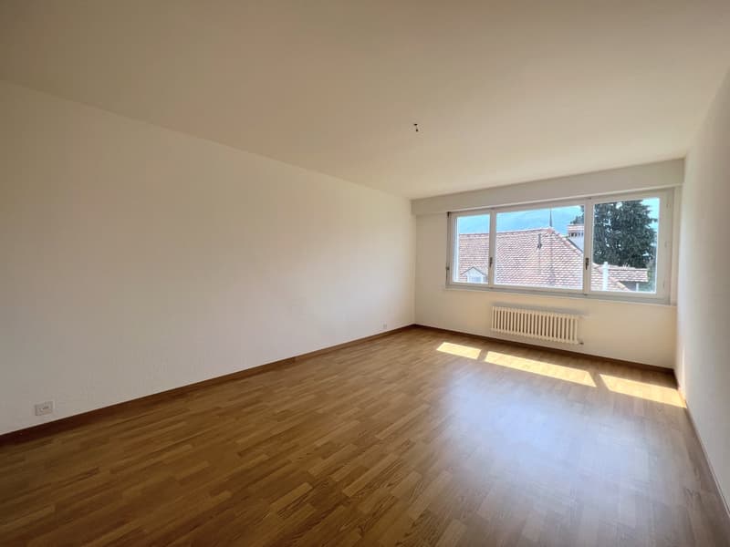 Spacieux appartement de 3 pièces (2)