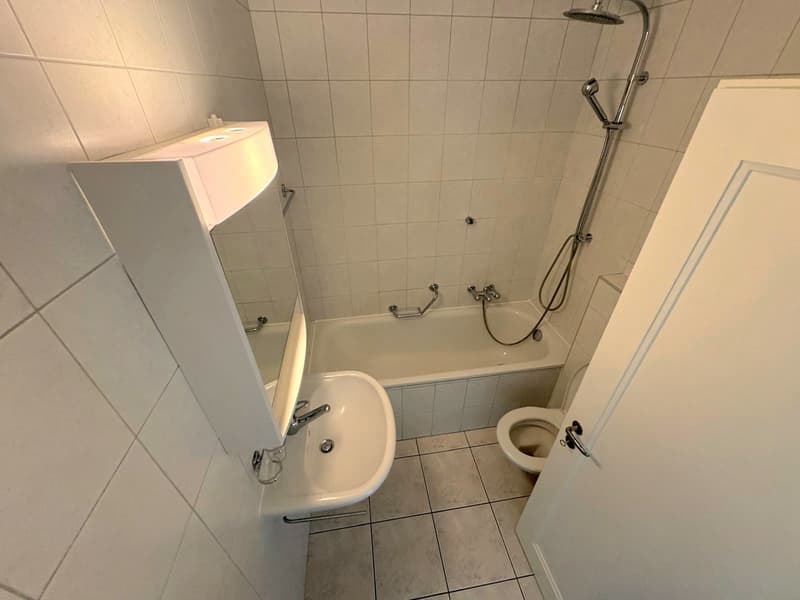 Appartement de 3 pièces avec balcon (5)