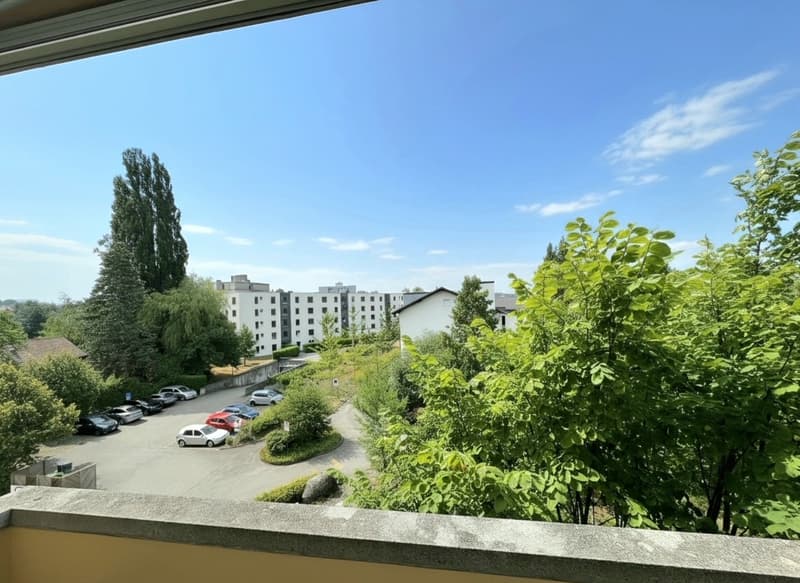 Appartement de 3 pièces avec balcon (7)