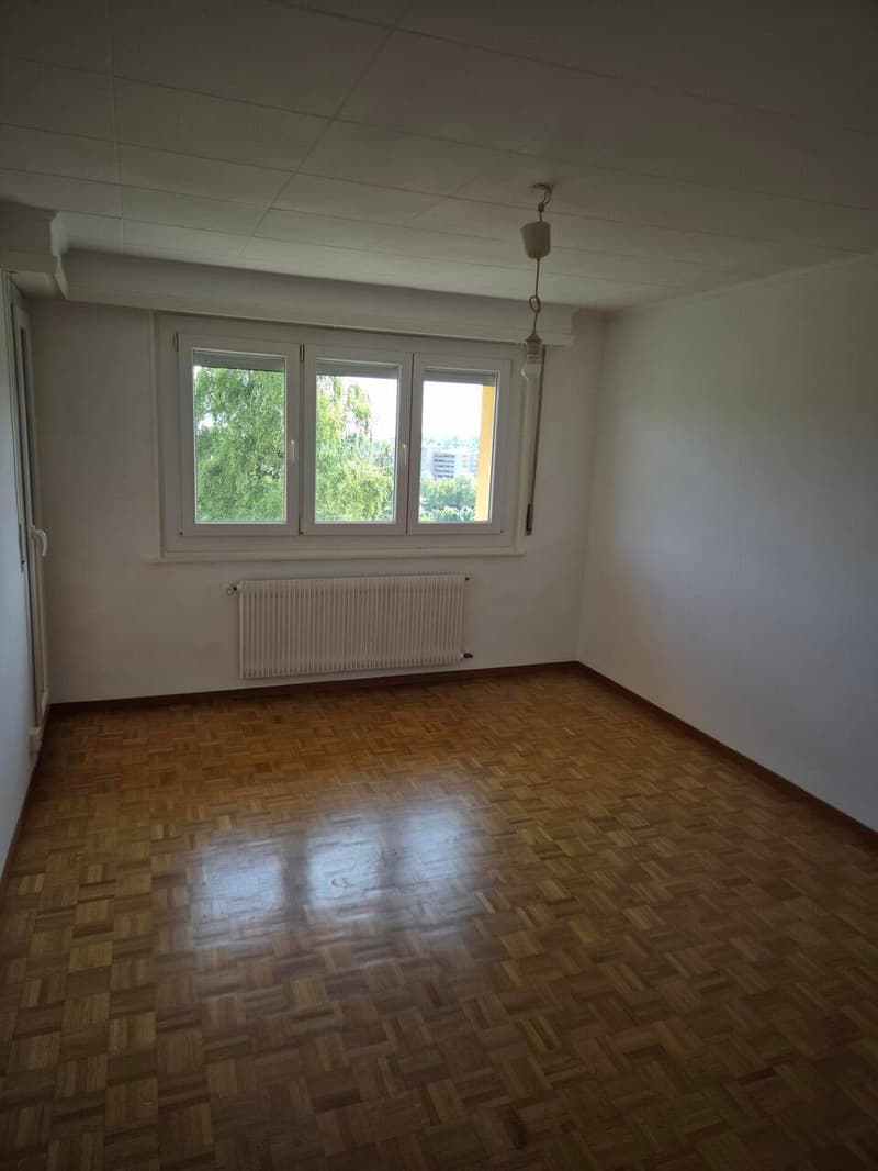Disponible de suite (6)