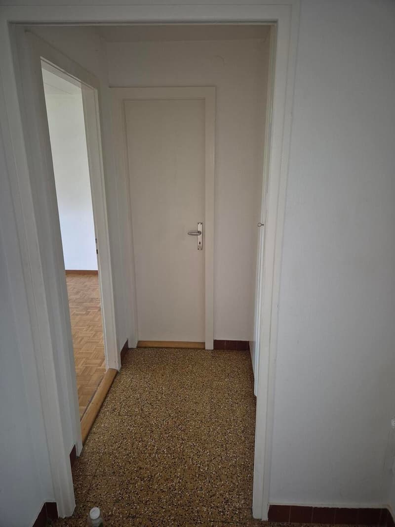 Disponible de suite (3)