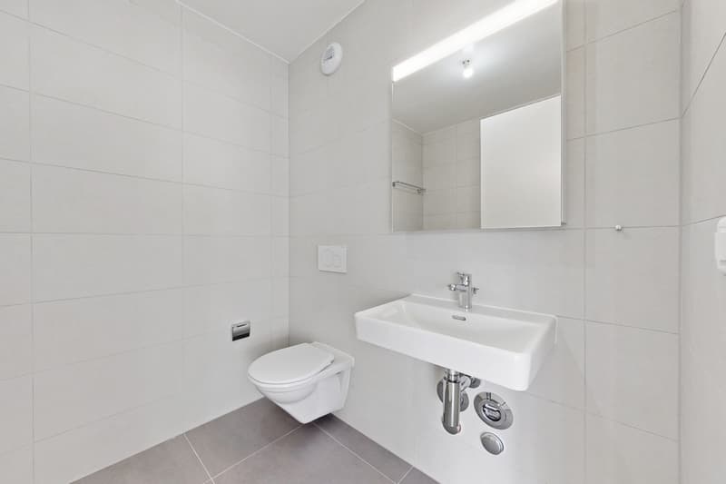 Appartement de 3.5 pièces à Chêne Park à Renens (7)