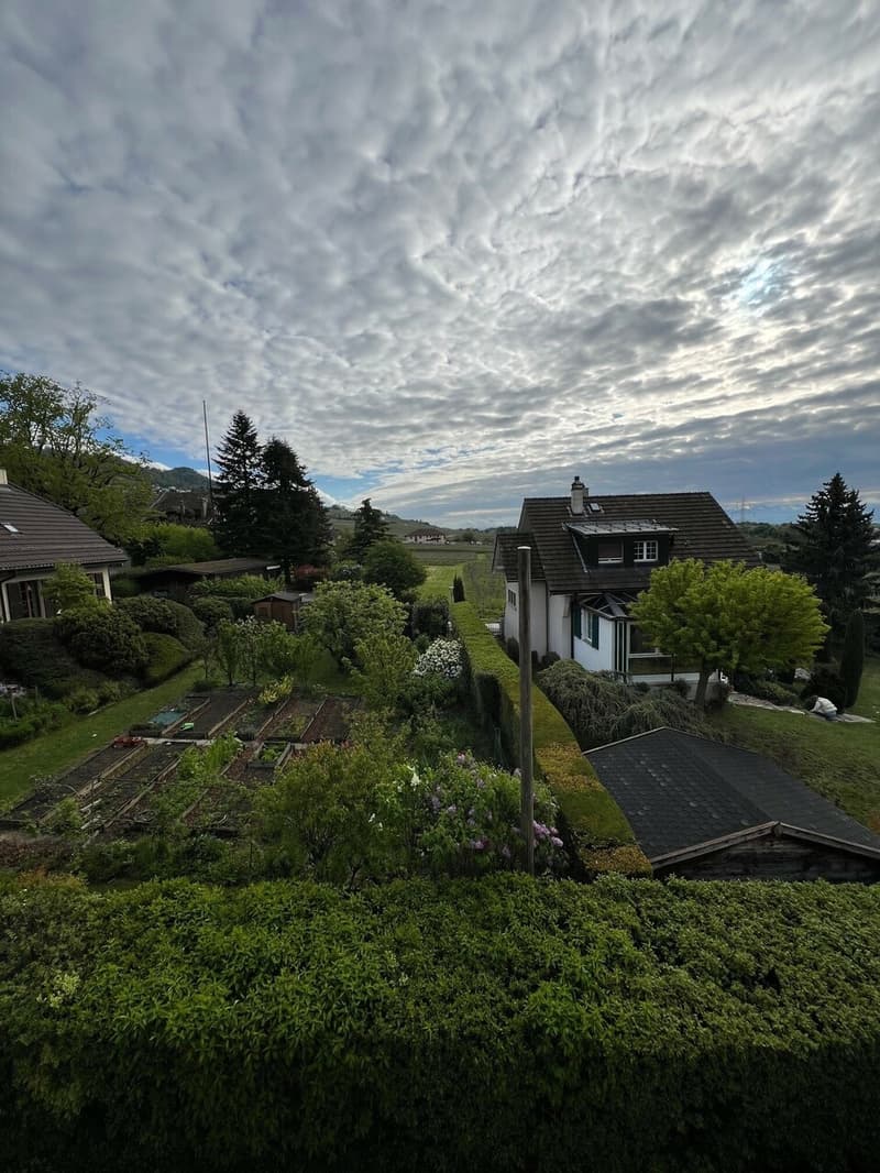 Villa mitoyenne (5)