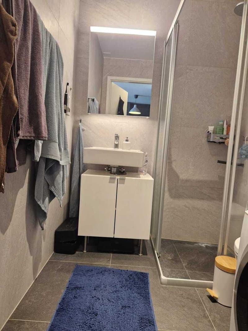 Appartement de 2.5 pièces au 3ème étage à Chavannes-près-Renens (5)