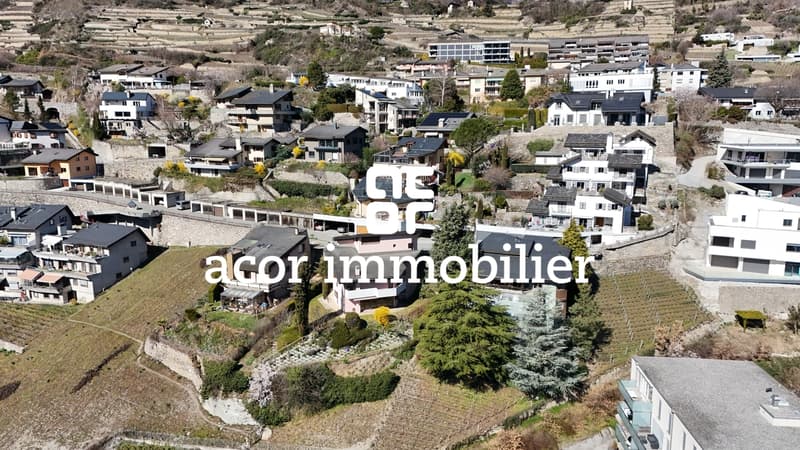 OPPORTUNITE - Villa familiale avec studio indépendant à Gravelone! (4)