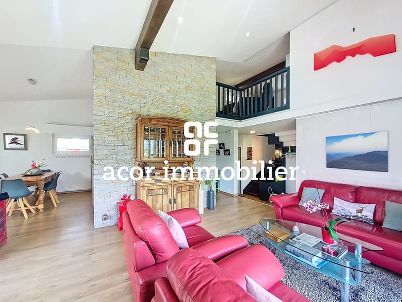 Superbe villa avec studio indépendant à Savièse! (3)