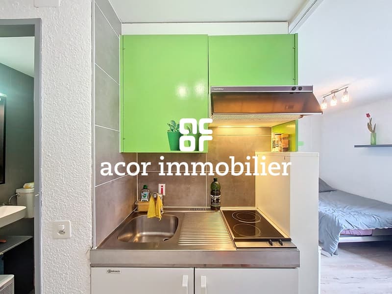 Superbe villa avec studio indépendant à Savièse! (11)