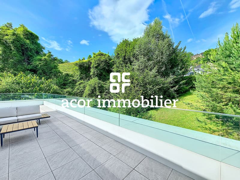 Appartement attique en duplex de 5½ avec vue imprenable (5)