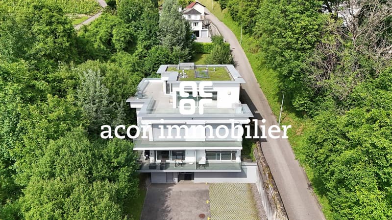Appartement attique en duplex de 5½ avec vue imprenable (9)